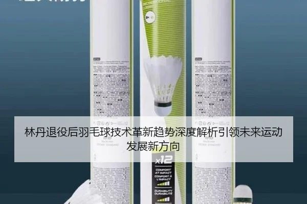 林丹退役后羽毛球技术革新趋势深度解析引领未来运动发展新方向